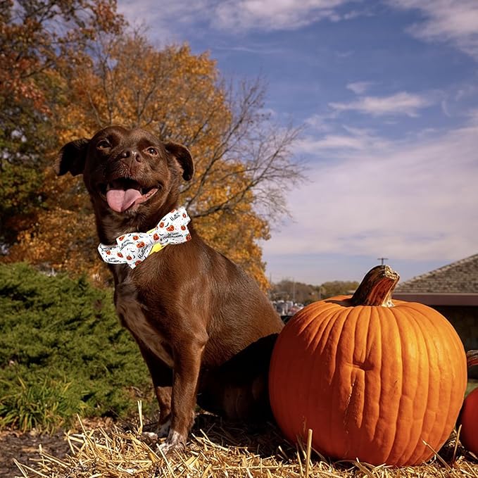 Halloween Dog Collar, Pet Collar Bow Pumpkin Pet Collar Girl Boy Holiday Collars Gift Bow Cute Soft Puppy Collars for X-Small Puppy