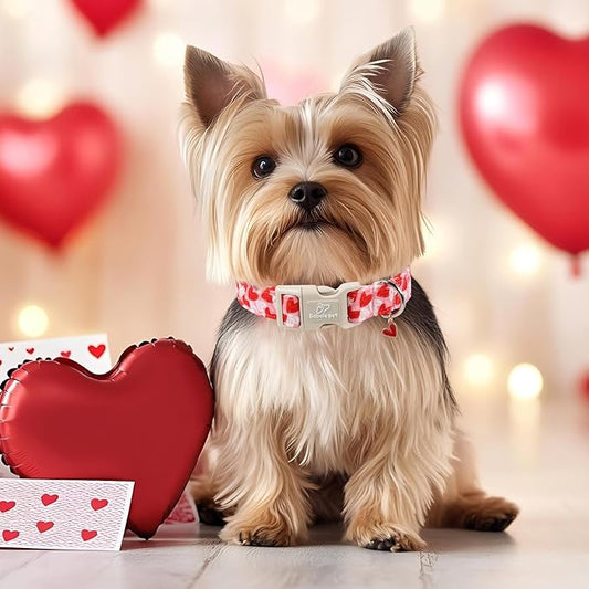 Valentines Dog Collar for Giant Large Dogs - Cute Pink Girl Dog Collar, Doodle Heart Pattern, Adjustable Valentine Dog Collars with Red Heart Charm XL