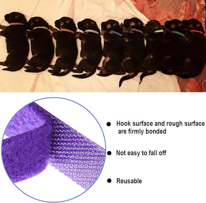 15 Pcs Puppy Whelping Collars Newborn Pet Collars Double-Sided Soft Adjustable ID Bands Puppy Id Collars for Newborn Pet Dog Cat 15 Colors