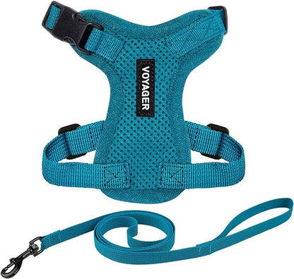 Voyager Escape-Proof Step-in Lock Cat Harness & 5ft Neoprene-Handle Leash Set All-Weather Mesh with Reflective Stitching for Small to Large Cats by Best Pet Supplies, Turquoise, XXS