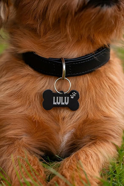 Stainless Steel Personalized Pet ID Tags, Art Design for Dog Tags, Cat Tags, Customized and Engraved on Both Sides of ID Tag, Lock Amulet Shape in Black, Silver, Blue, Gold, Rose Gold Color