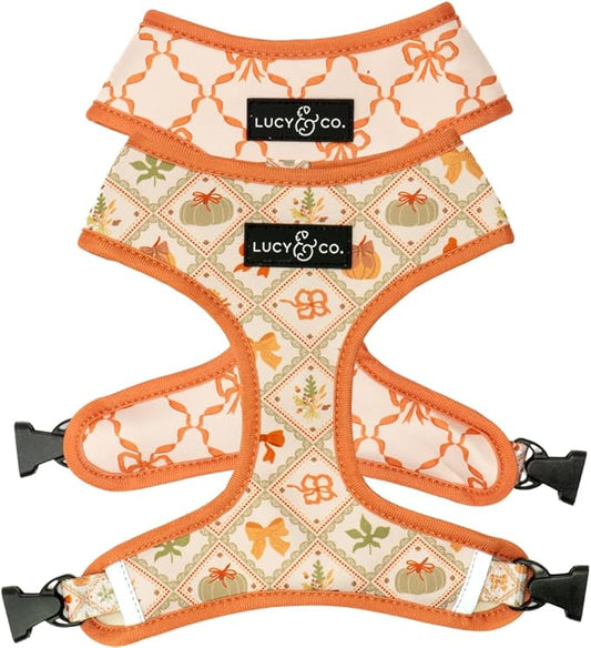 Lucy & Co. Cute Reversible Dog Harness Walking Halter - Best Designer Pet Harnesses for XS - XL Dogs - Padded Adjustable Vest for Easy Walking-Large-Orange Cream Pumpkin