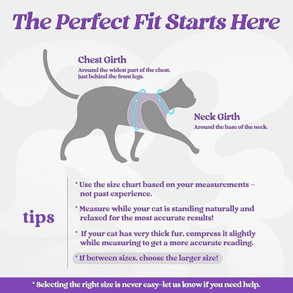 rabbitgoo Cat Harness and Leash Set for Walking Escape Proof, Adjustable Soft Kittens Vest with Reflective Strip for Cats, Comfortable Outdoor Vest, Purple, L