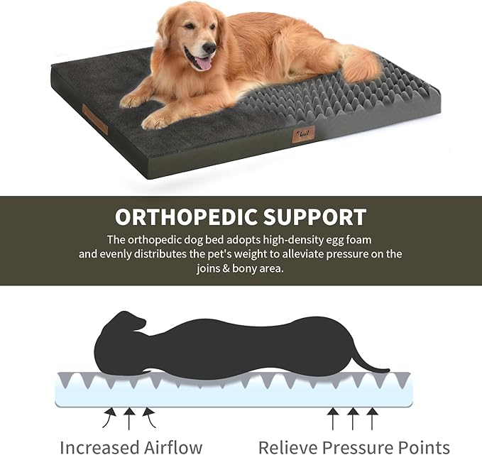 Orthopedic Dog Bed for Large Dogs, Plush Washable Pet Bed for Large Size Dogs with Egg Crate Foam & Removable Oxford Cover, 36x27 Inch, Coffee