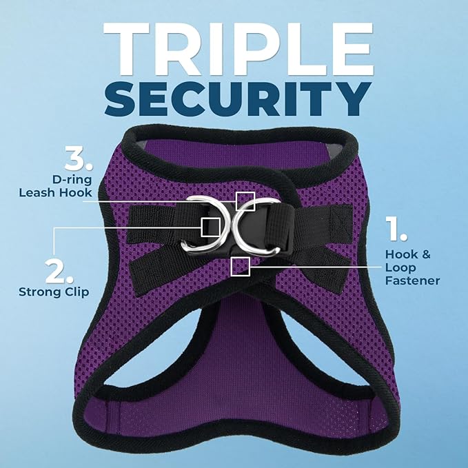 Best Pet Supplies Voyager Step-in Air Harness - All Weather Mesh, Reflective, No Pull Harness for Dogs, Cats - Secure with Hook & Loop Fastener, Buckle, Double D-Rings - Purple/Black Trim, L