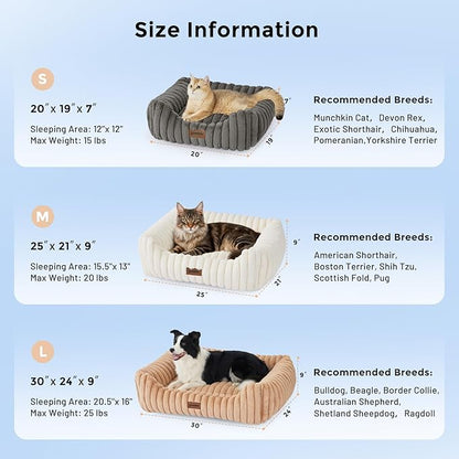 Small Dog Beds for Small Dogs - Washable Cat Beds for Indoor Cats, Rectangle Orthopedic Puppy Bed with Fluffy Removable Cover, 20x19x7inches, Grey