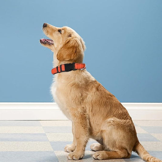 Reflective Dog Collar, Adjustable Soft Neoprene Padded Nylon Pet Collars with Buckle for Puppy and Small Dogs, Cats, Orange,XS