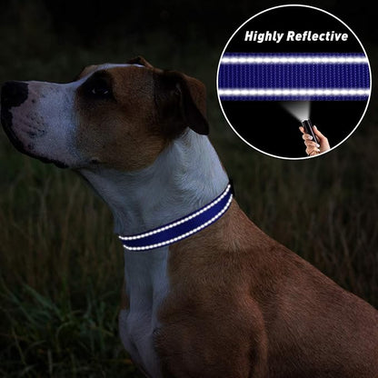 TagME Reflective Nylon Dog Collars, Adjustable Classic Pet Collar with Quick Release Buckle for Large Dogs, Royal Blue, 1.0" Width