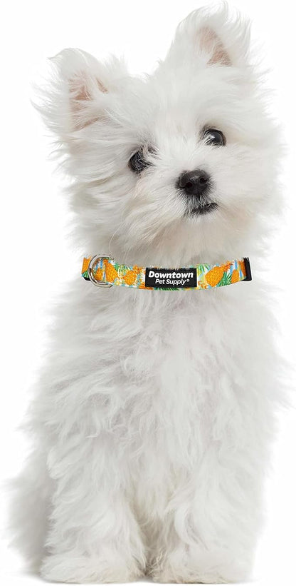 Downtown Pet Supply - Best & Fancy Dog Collar - Lightweight Adjustable with Quick Buckle & D-Ring - Hand Wash Safe - Pineapple - Large