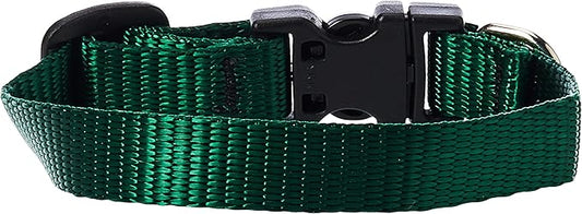 LupinePet Basics 1/2" Green 6-9" Adjustable Collar for Extra Small Dogs