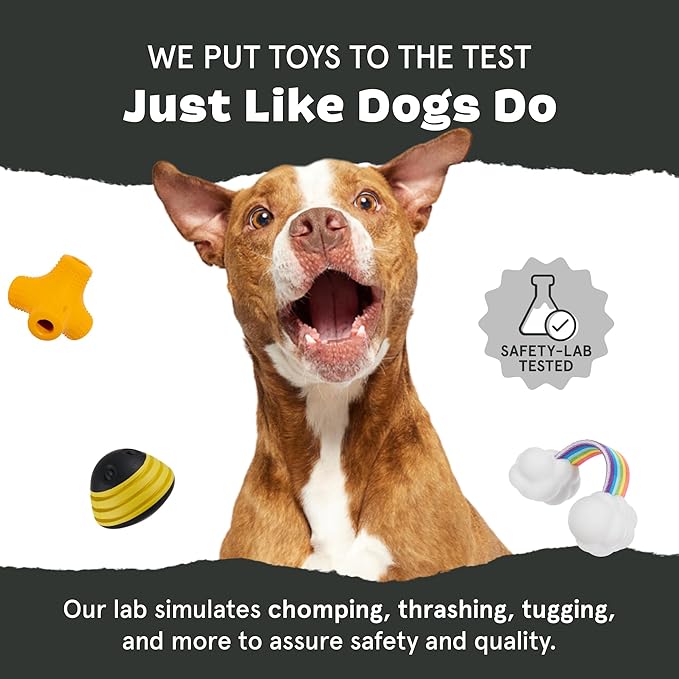 Barkbox Super Chewer Tough Dog Chew Toys for Aggressive Chewers, Dental Stimulating (Turkey - Small)