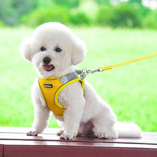 AIITLE Comfortable Dog Harness and Leash Set for Walking - Spring Step in Vest Harness,Reflective Bands, Adjustable No Pull Puppy Essentials, for Small Dogs and House Cats Yellow XS