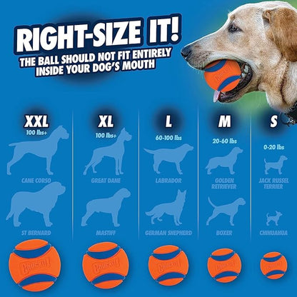 Chuckit! Ultra Duo Tug Dog Toy, Small Indoor and Outdoor Dog Ball for Dogs 0-20 Pounds