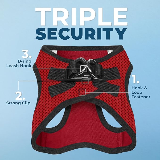 Best Pet Supplies Voyager Step-in Air Harness - All Weather Mesh, Reflective, No Pull Harness for Dogs, Cats - Secure with Hook & Loop Fastener, Buckle, Double D-Rings - Red/Black Trim, XXXS