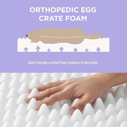 LE SURE Cute Orthopedic Dog Bed Medium Size Dog, Waterproof Chic Flat Pet Beds with Removable Washable Cover, Fuzzy Thick Egg Crate Foam Pet Mat for Indoor Use (30" x 20", Grey)
