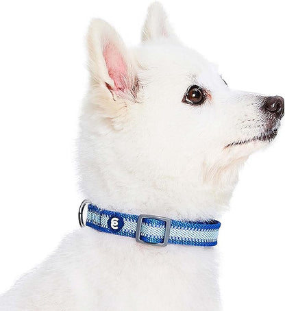 Blueberry Pet Small Dog Collar in Reflective Navy Blue | Adjustable Nylon Strap for Night Walking | Durable & Safe Puppy Training Collar