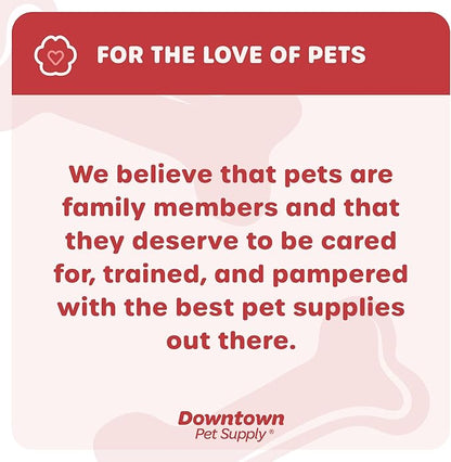 Downtown Pet Supply Step-in Dog Harness – No Pull, Adjustable Padded Mesh with Reflective Trim, Secure Buckle Strap – Comfortable & Breathable Small Dog Harness, Medium, Red