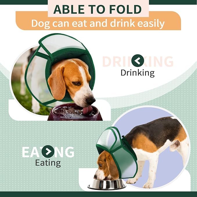 Allroaring Dog Cone Collar, Soft Dog Cones for Medium Dogs After Surgery, Adjustable Pet Cone for Dogs to Stop Licking, Breathable Doggie Elizabethan Collar for Wound Care Spay Neuter, Green M