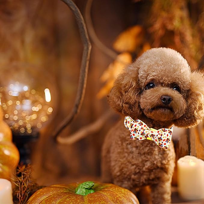 Thanksgiving Dog Collar, Turkey Dogs Collars Bow Tie Pet Collar Adjustable Pet Collars Premium Metal Buckle Autumn Leaf Necklace for Samll Dogs