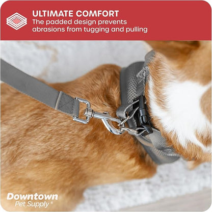 Downtown Pet Supply Step-in Dog Harness – No Pull, Adjustable Padded Mesh with Reflective Trim, Secure Buckle Strap – Comfortable & Breathable Small Dog Harness, XX-Small, Light Gray