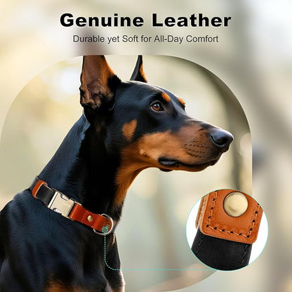 Plutus Pet Genuine Leather & Hemp Dog Collar – Adjustable Heavy Duty Pet Collar with Quick Release Metal Buckle, Soft & Stylish for Puppy and Small, Medium, Large Dogs (Black, L)