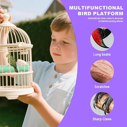 2pcs Bird Beak Grinding Stone, Resin Anti-Slip Beak Grinder Stone Bird Nail Trimming Claw Trimmer Perches Parrot Cage Stand Toys for Budgie Cockatiel Conure Parakeet Cage Accessories (Green, Purple)