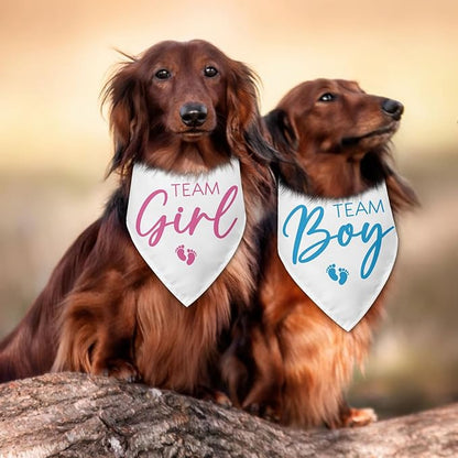 2 Packs Team Girl Team Boy Gender Reveal Baby Announcement Dog Bandana Pet Pregnancy Announcement Pink and Blue Dog Triangle Scarf Accessories for Small Medium Large Dogs Cats