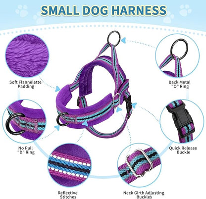 SlowTon No Pull Small Dog Harness and Leash Set, Puppy Soft Vest Harness Neck & Chest Adjustable, Reflective Lightweight Harness & Anti-Twist Pet Lead Combo for Small Medium Dogs (PU-Front Clip, XXS)