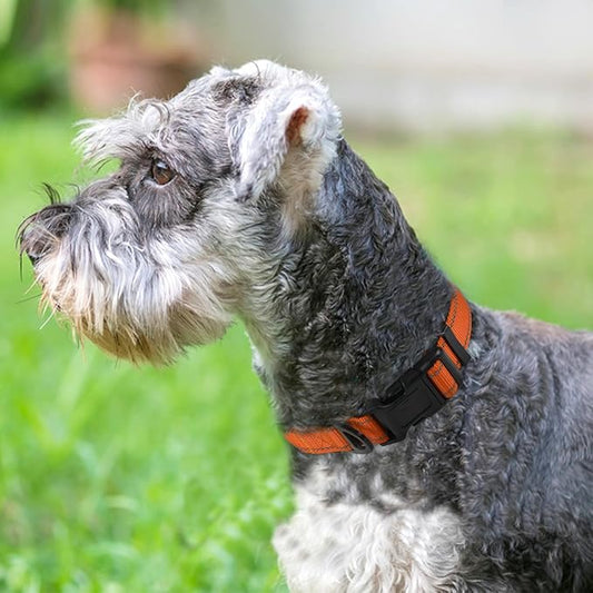 Joytale Dog Collar,Soft Neoprene Padded Breathable Nylon Pet Collar Adjustable for Small Dogs,Orange,S