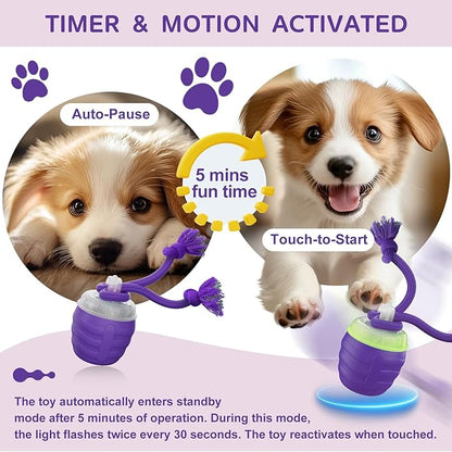 Interactive Dog Toy, [Newly Upgraded] Motion Activated Rolling Squeaky Ball for Medium/Large Dogs, Automatic Moving Dogs Ball for Boredom, USB Rechargeable(Purple)