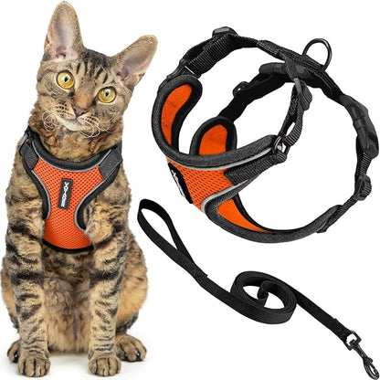 Voyager Escape-Proof Step-in Lock Cat Harness & 5ft Neoprene-Handle Leash Set All-Weather Mesh with Reflective Stitching for Small to Large Cats by Best Pet Supplies, Black Trim-Orange (327), S