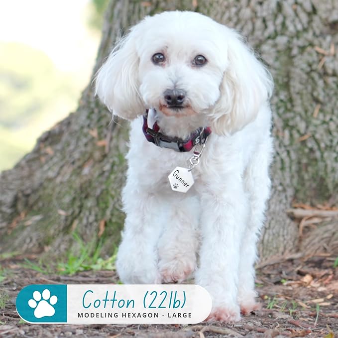 Ultra Joys Dog Tags Personalized for Pets - Hollow Paw Custom Pet ID Tag - Engraved Dog Tag for Small, Large Dogs - Large Hexagon in Gold