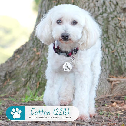 Ultra Joys Dog Tags Personalized for Pets - Hollow Paw Custom Pet ID Tag - Engraved Dog Tag for Small, Large Dogs - Large Hexagon in Gold