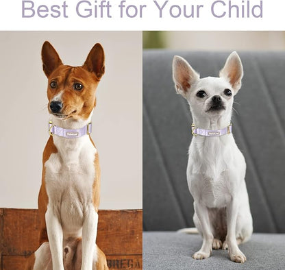 Nylon Dog Collar - Adjustable Lavender Soft Webbing Dog Collars for Small Medium Large Dogs Boy Girl Puppy Collar with Safety Metal Buckle M
