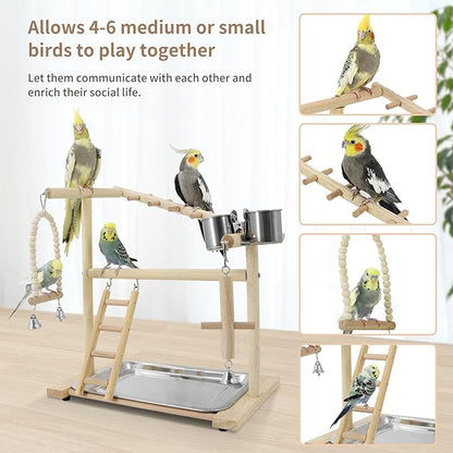 Bird Playground, Playstand for Parrot Cage Accessories (1 Ladder with Swing)