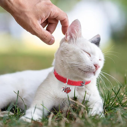 SCENEREAL Cat Collar with Bells, Leather Cat Collars with Paw Studded, Adjustable Pet Collars for Boy Girl Cats,Soft Cute Cat Collar for Kitty Puppy Small Big Cats, Red
