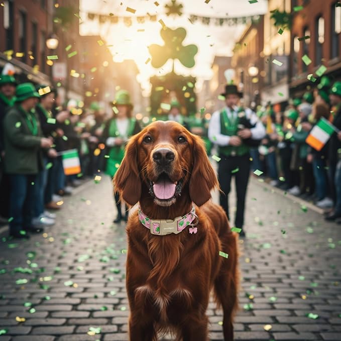 St. Patrick's Day Dog Collar,Pink Bow with Green Clover Puppy Collar,Adjustable Spring Cotton Collars Gifts for Small Medium Large Dogs,Dog Accessories M