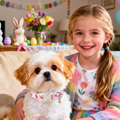 DOGWONG Easter Dog Collar, Cute Easter Pink Bunny Pet Collar Durable Holiday Girl Boy Adjustable Cotton Dog Collars for Small Medium Dogs,M Visit The Elegant Little Tail Store