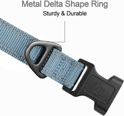 Joytale Reflective Dog Collar, Soft Neoprene Padded, Metal D-Ring, Nylon Pet Collar Adjustable for Large Dogs, Gray, L