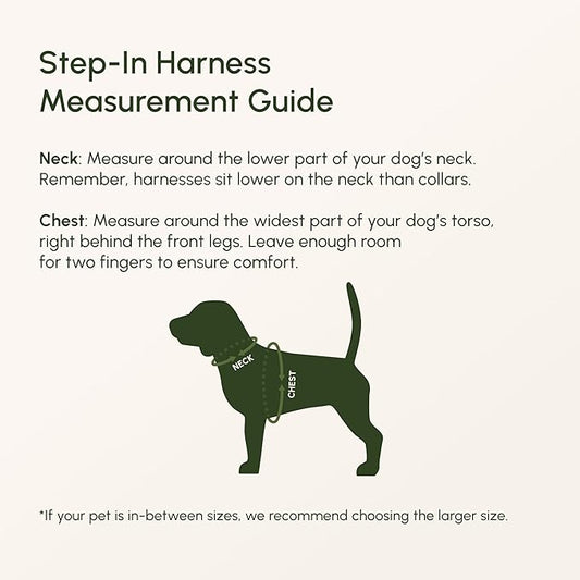 Downtown Pet Supply Step in Dog Harness for Large Dogs - Adjustable, Escape Proof Dog Harness with Reflective Trim - All-Weather, Fast-Drying Padded Mesh Fabric - Tangerine, X-Small