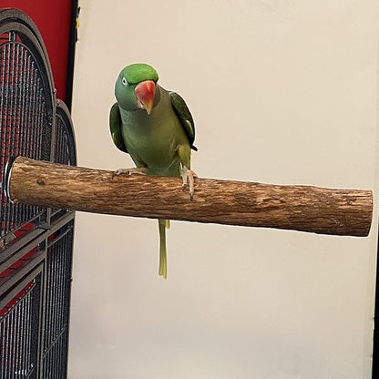 Polly's Hardwood Bird Perch, X-Large
