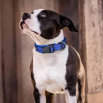 EXCELLENT ELITE SPANKER Reflective Dog Collar Classic Soft Padded Breathable Nylon Adjustable Pet Collar with Quick Release Buckle for Boy Girl Male Female Small Medium Large Dogs Training(Purple-XL,)