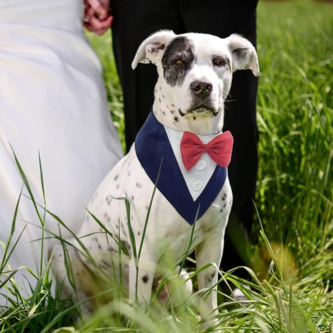 FUAMEY Dog Tuxedo for Medium Dogs,Dog Formal Suit Dogs Attire Pet Bow Tie Puppy Party Costumes Cat Tux Outfits Pets Bandana Cosplay Adjustable Bowties Wedding Birthday Valentines Blue M