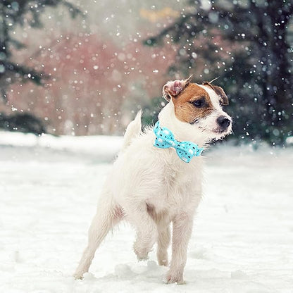 Dog Collar-Bow Dog Collar Blue Bear Pattern Pet Collar Dog Cute Bow Tie Soft Girl Boy Dog Collars with Metal Buckle Wonderful Gift for X-Small Puppy