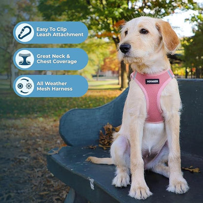 Best Pet Supplies Voyager Step-in Air All Weather Mesh Harness and Reflective Dog 5 ft Leash Combo with Neoprene Handle, for Small, Medium and Large Breed Puppies - Harness Leash Set (Pink), XXS