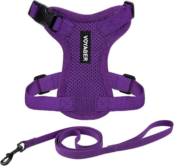 Voyager Escape-Proof Step-in Lock Cat Harness & 5ft Neoprene-Handle Leash Set All-Weather Mesh with Reflective Stitching for Small to Large Cats by Best Pet Supplies, Purple, XXS