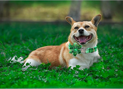 Lionheart glory St. Patrick's Day Dog Collar with Flower Dog Collar for Large Dogs, Green Plaid Cute Collars Spring Dogs Collars Flower Puppy Heavy Duty Cute