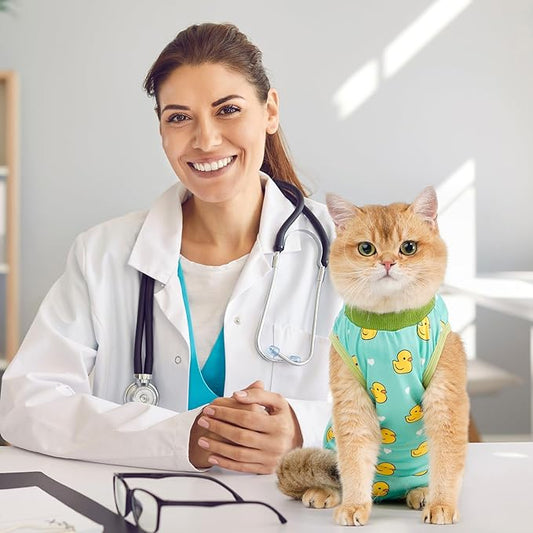 Avont Cat Recovery Suit - Kitten Onesie for Cats After Surgery, Cone of Shame Alternative Surgical Spay Suit for Female Cat, Post-Surgery or Skin Diseases Protection -Duck(L)