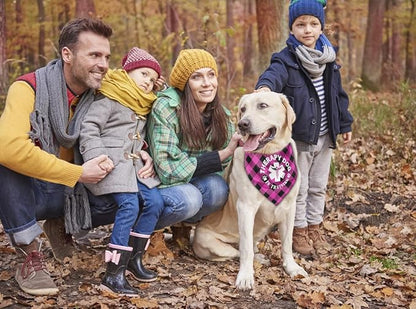 Dog Bandana, Therapy Dog Please Pet Me with, Dogs Scarf Classical Printing, Dogs Scarf Accessories, Doggy Kerchief Pet Kerchief, Christmas Birthday Thanksgiving Doggy Gift A07