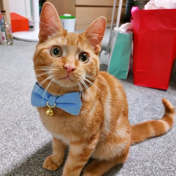 Soft Corduroy Cat Collar with Bell and Bowtie, Safety Breakaway Clasp, Adjustable for Kitten and Cats Blue Color.